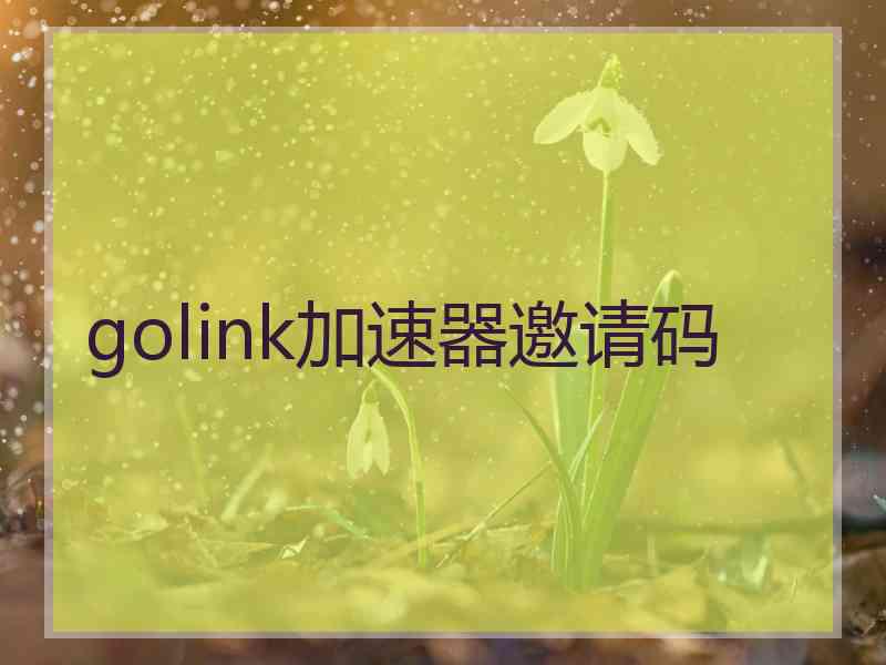 golink加速器邀请码