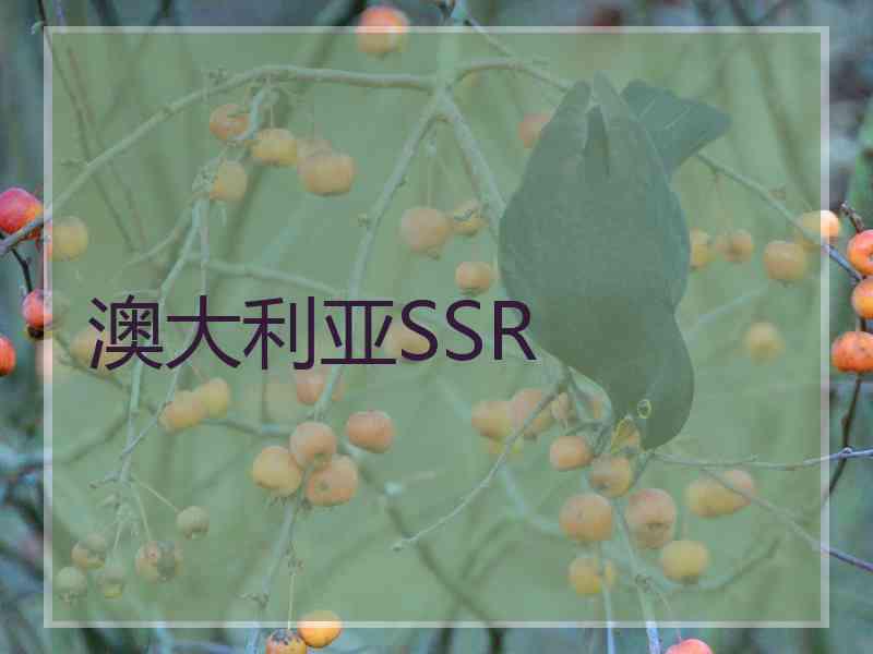 澳大利亚SSR