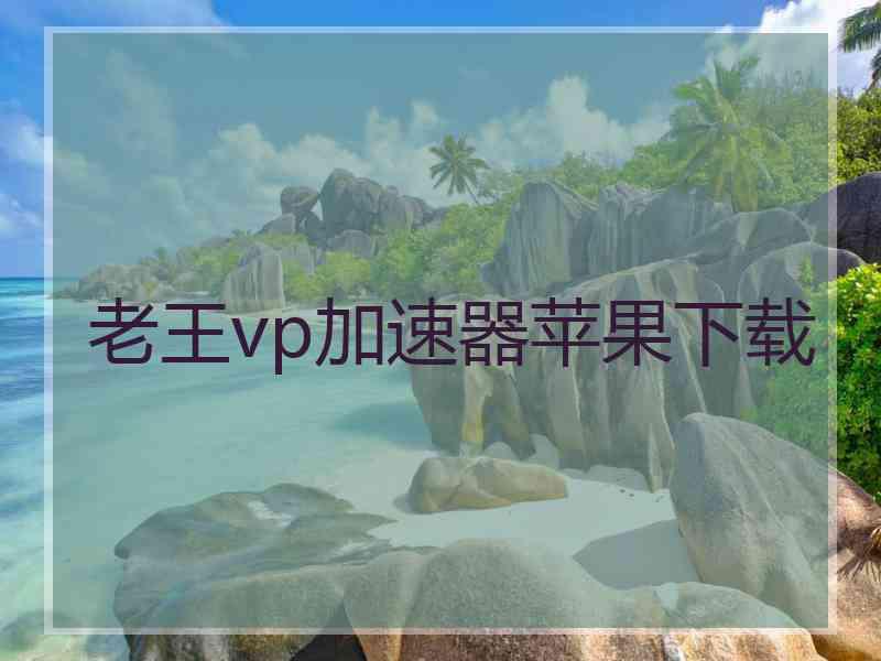 老王vp加速器苹果下载