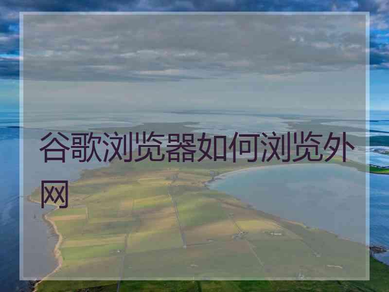 谷歌浏览器如何浏览外网