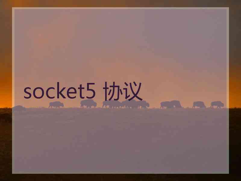 socket5 协议