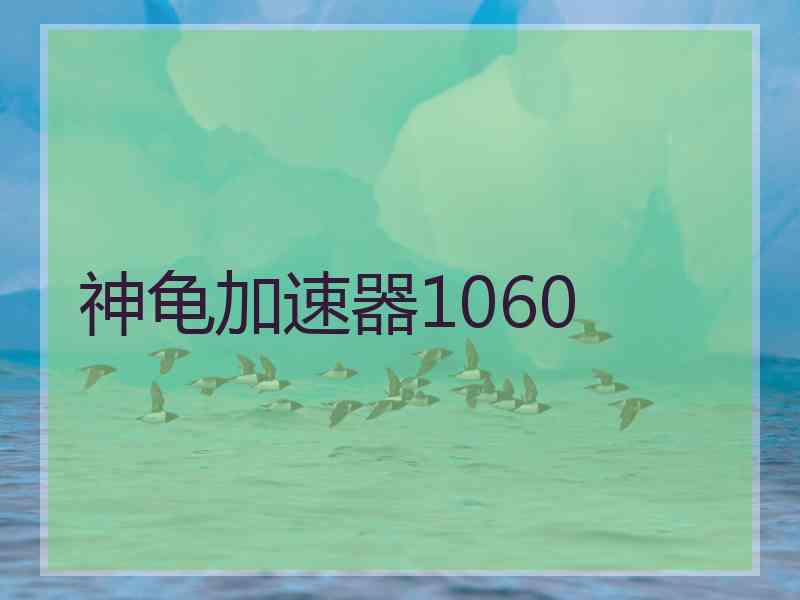 神龟加速器1060