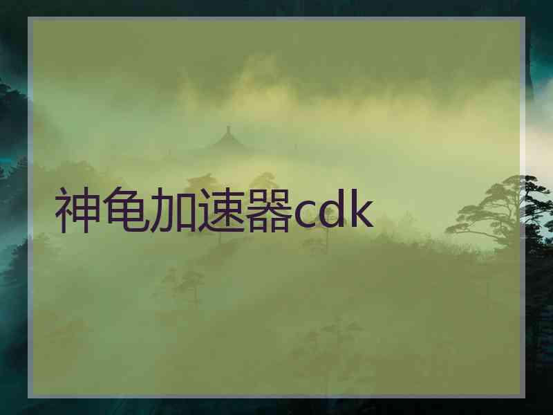 神龟加速器cdk