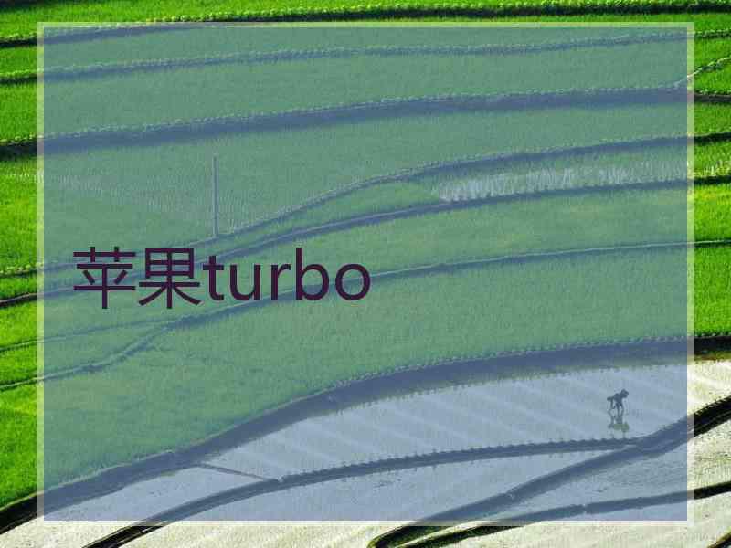 苹果turbo