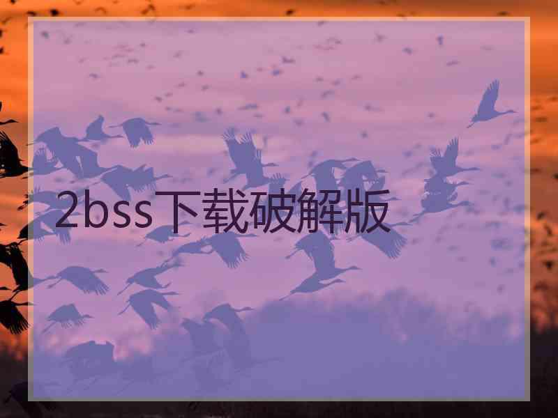 2bss下载破解版