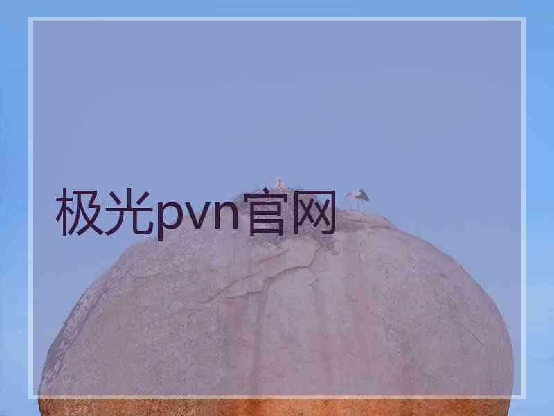 极光pvn官网