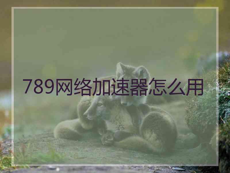 789网络加速器怎么用