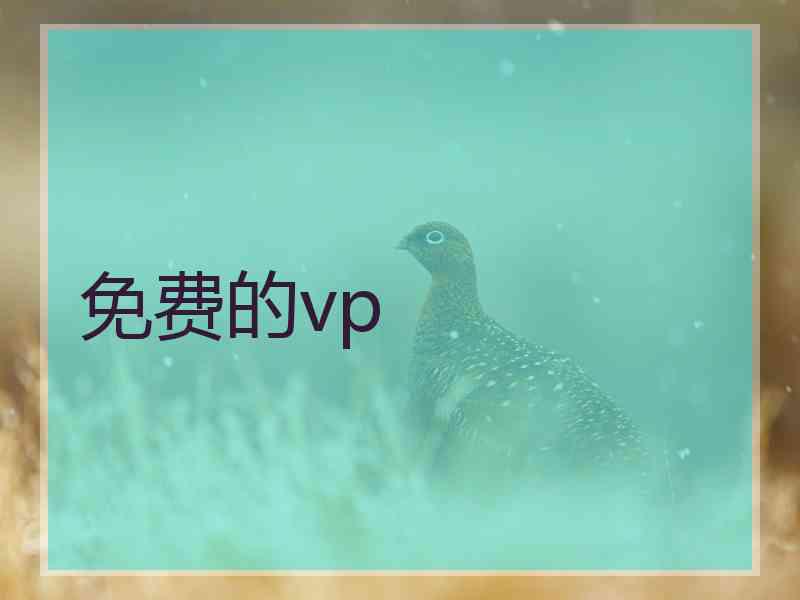 免费的vp