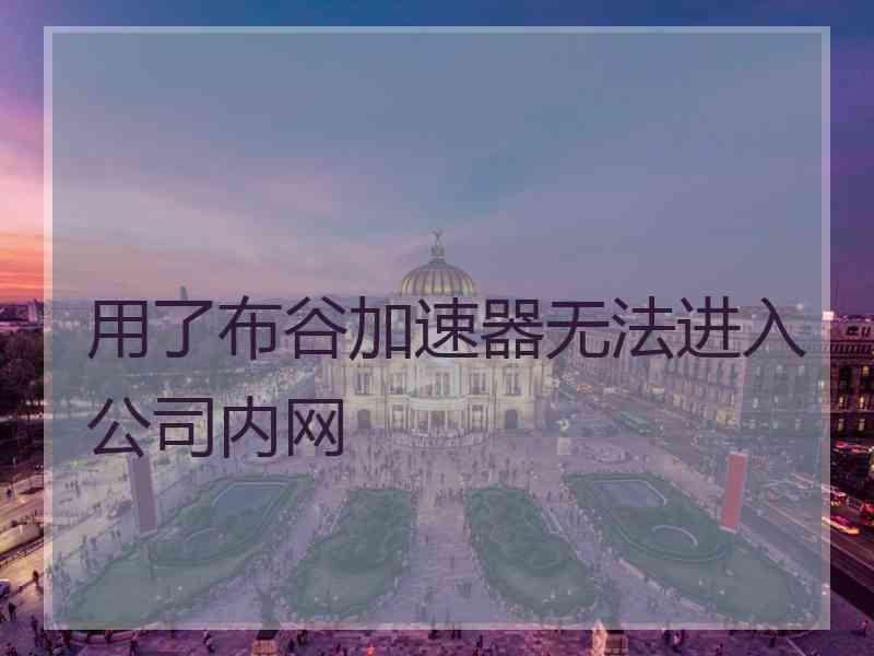 用了布谷加速器无法进入公司内网