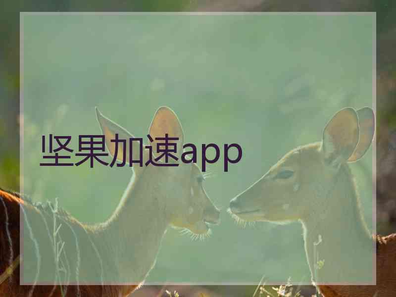 坚果加速app