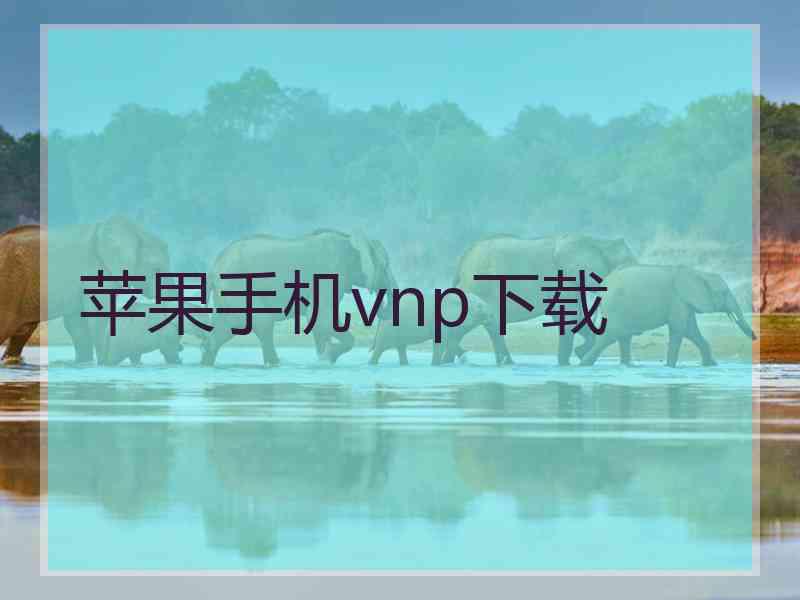 苹果手机vnp下载