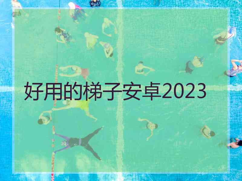 好用的梯子安卓2023