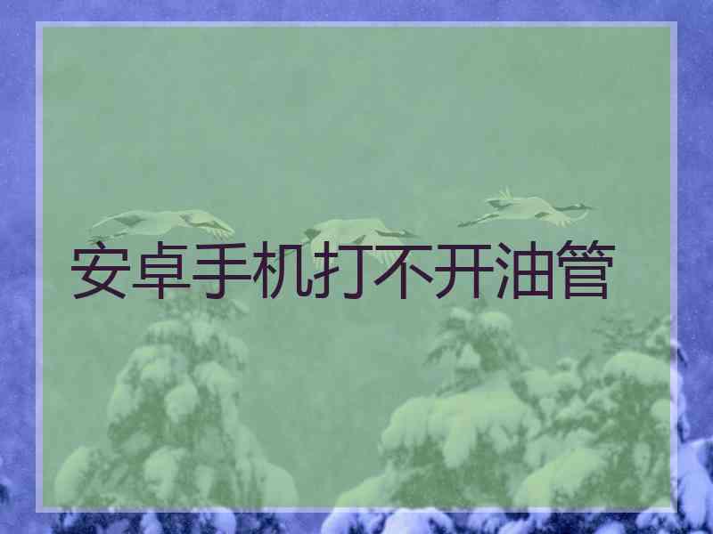 安卓手机打不开油管