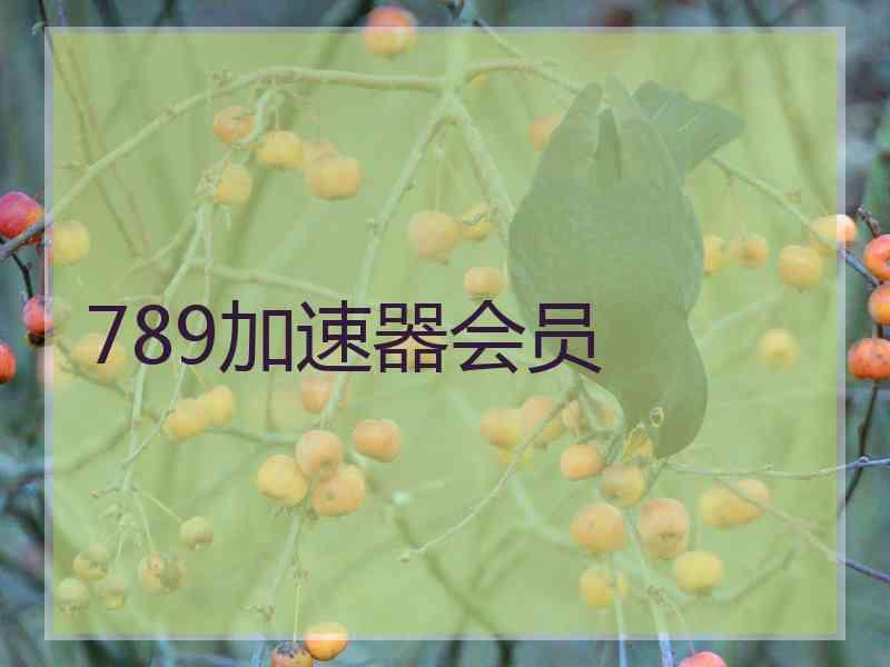 789加速器会员