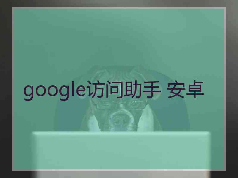 google访问助手 安卓