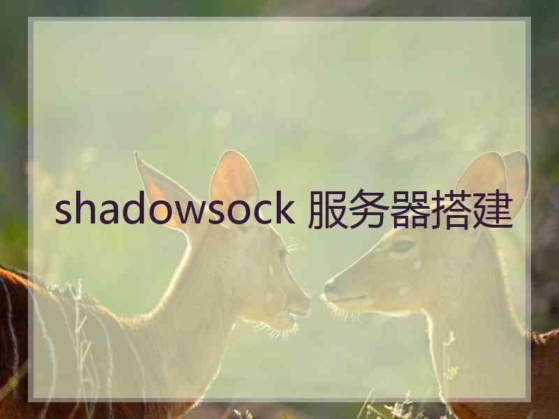 shadowsock 服务器搭建