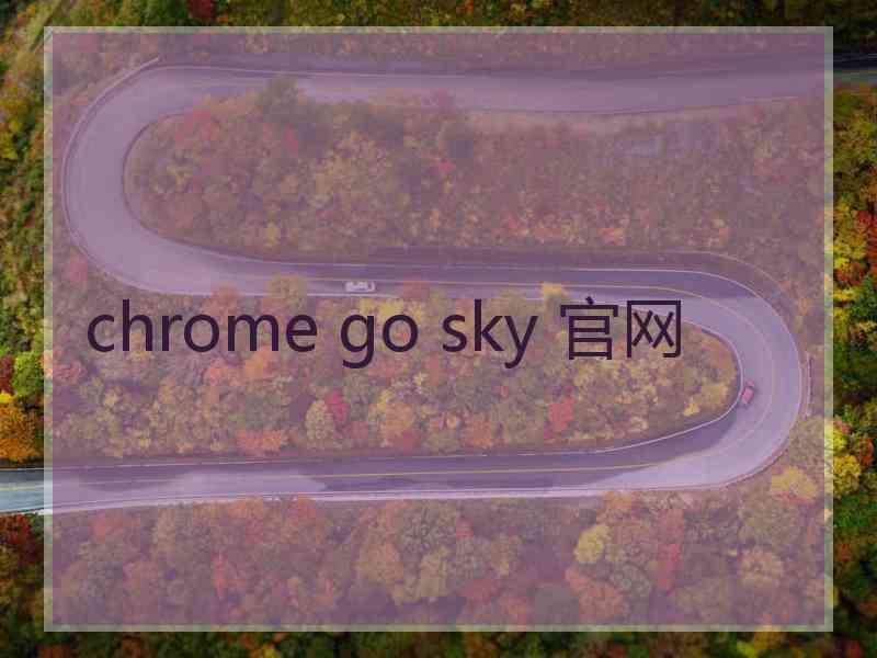 chrome go sky 官网