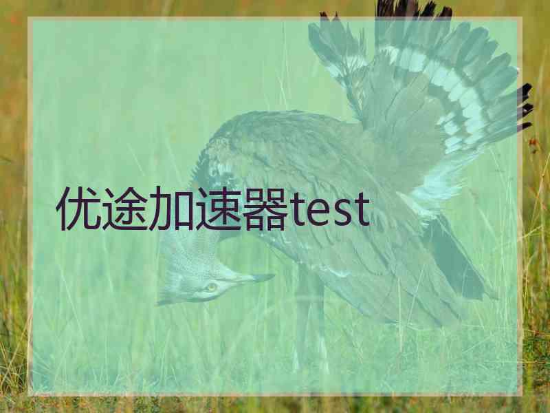 优途加速器test