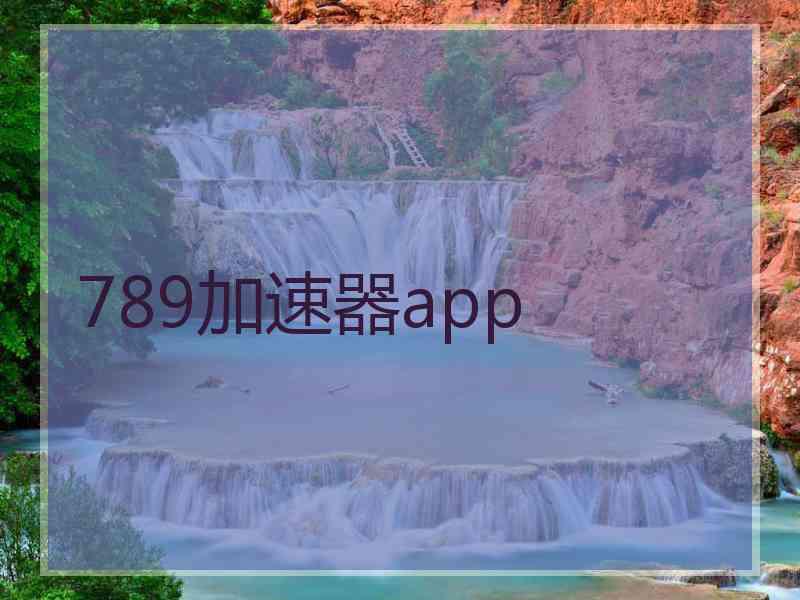 789加速器app