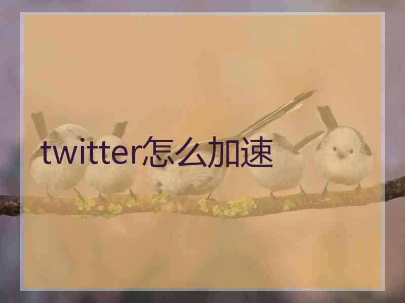 twitter怎么加速