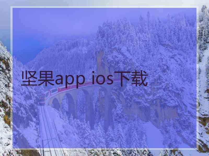 坚果app ios下载