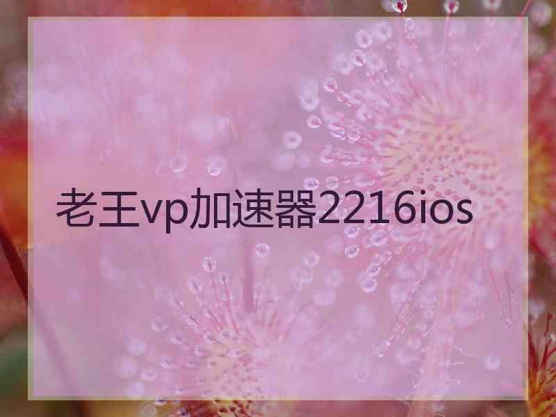 老王vp加速器2216ios