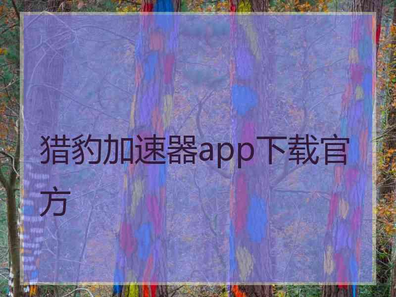 猎豹加速器app下载官方