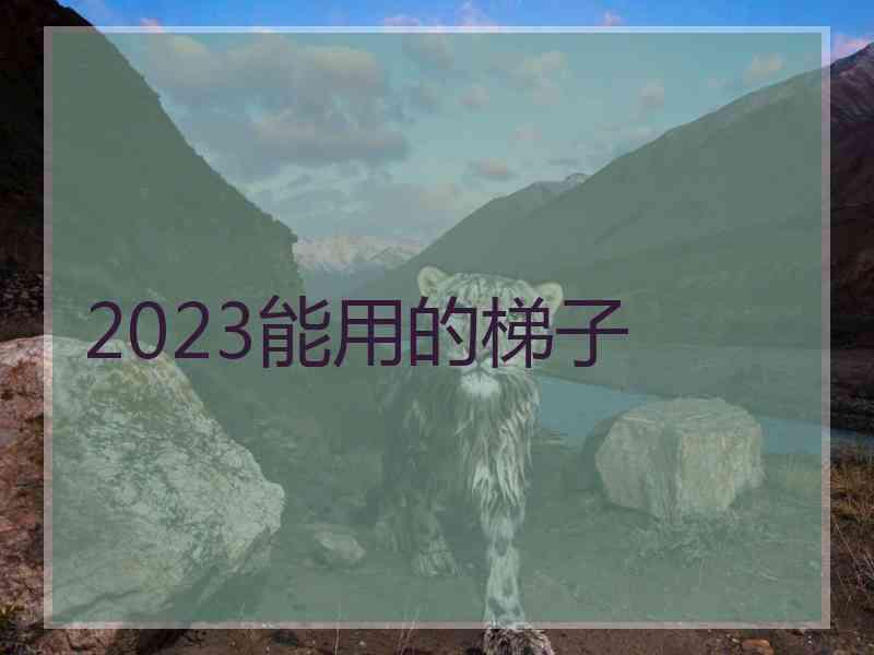 2023能用的梯子